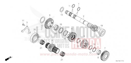 GETRIEBE (HAUPTWELLE) (NT1100D) NT1100DP de 2023